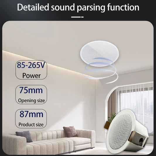 AS-BS05  2" Mini Bluetooth Ceiling Speaker – Full-Range Stereo Background Music Speaker