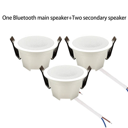 AS-BS05  2" Mini Bluetooth Ceiling Speaker – Full-Range Stereo Background Music Speaker